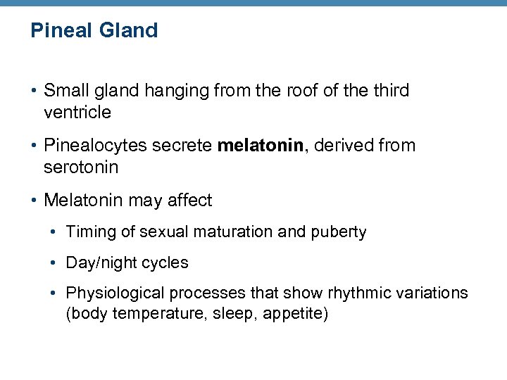 Pineal Gland • Small gland hanging from the roof of the third ventricle •