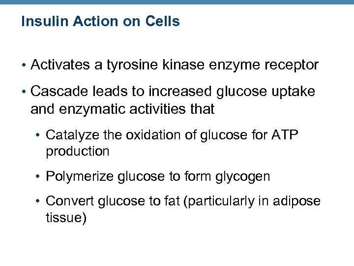 Insulin Action on Cells • Activates a tyrosine kinase enzyme receptor • Cascade leads