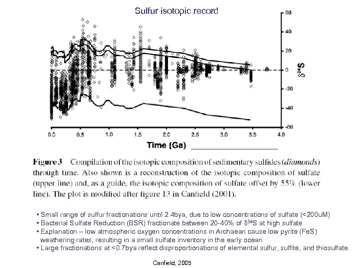 Sulfur isotopic record • Small range of sulfur fractionations until 2. 4 bya, due