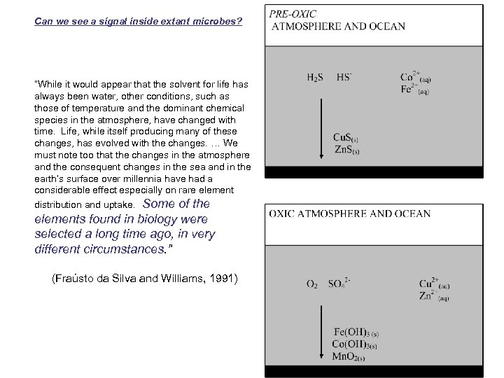 Can we see a signal inside extant microbes? “While it would appear that the