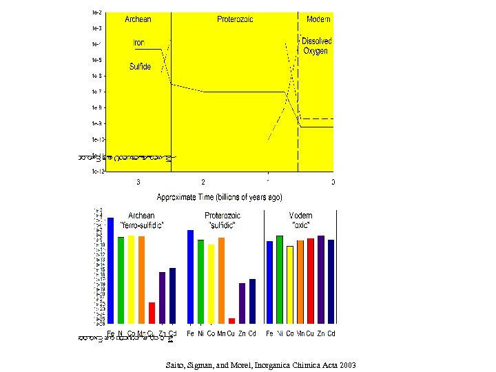 Saito, Sigman, and Morel, Inorganica Chimica Acta 2003 