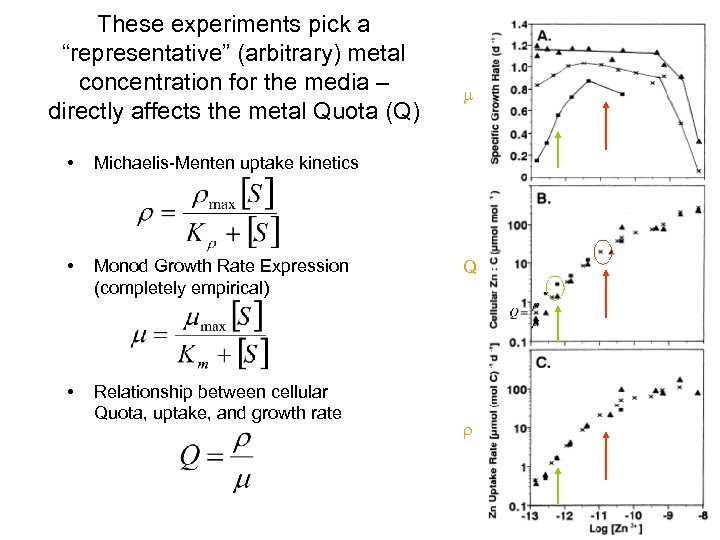 These experiments pick a “representative” (arbitrary) metal concentration for the media – directly affects