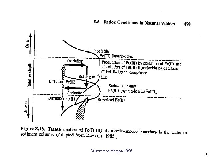 Stumm and Morgan 1996 5 