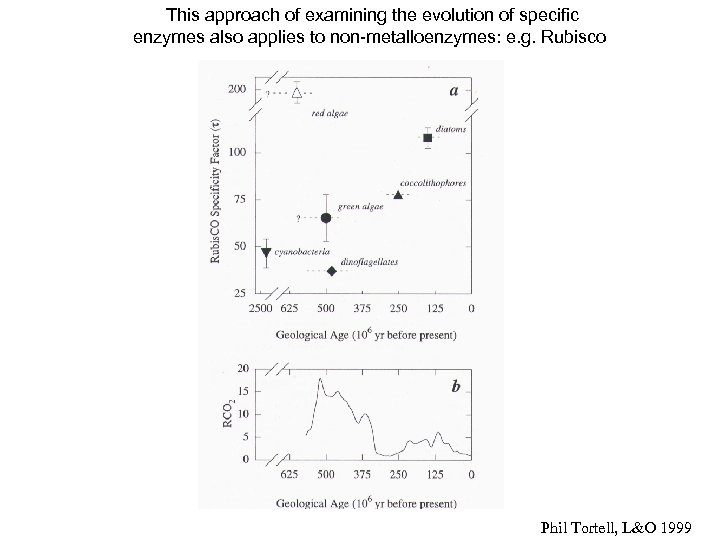This approach of examining the evolution of specific enzymes also applies to non-metalloenzymes: e.