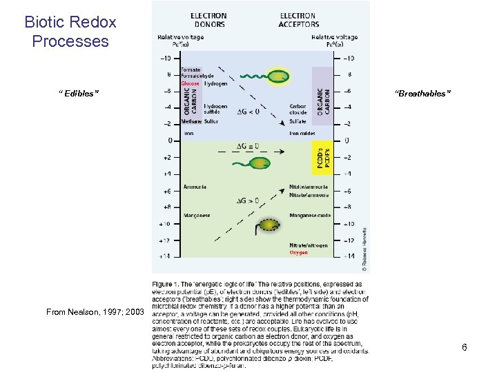 Biotic Redox Processes “ Edibles” “Breathables” From Nealson, 1997; 2003 6 