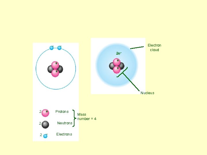 – – 2 e– Electron cloud + + Nucleus 2 + Neutrons 2 2