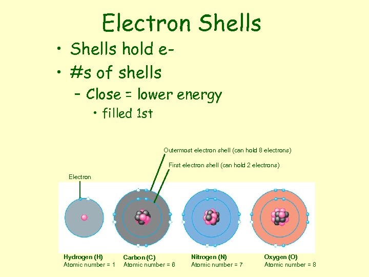 Electron Shells • Shells hold e • #s of shells – Close = lower
