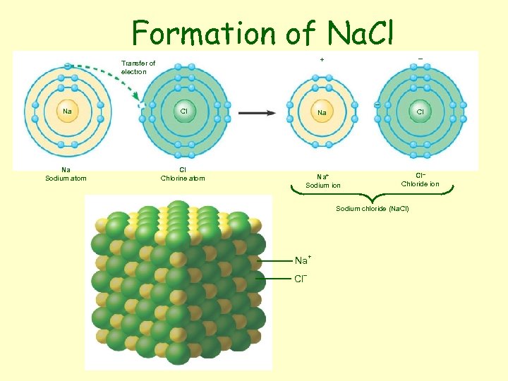Formation of Na. Cl – – + Transfer of electron Na Na Sodium atom