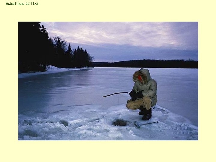 Extra Photo 02. 11 x 2 