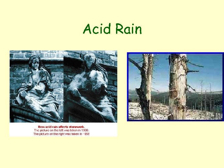Acid Rain 