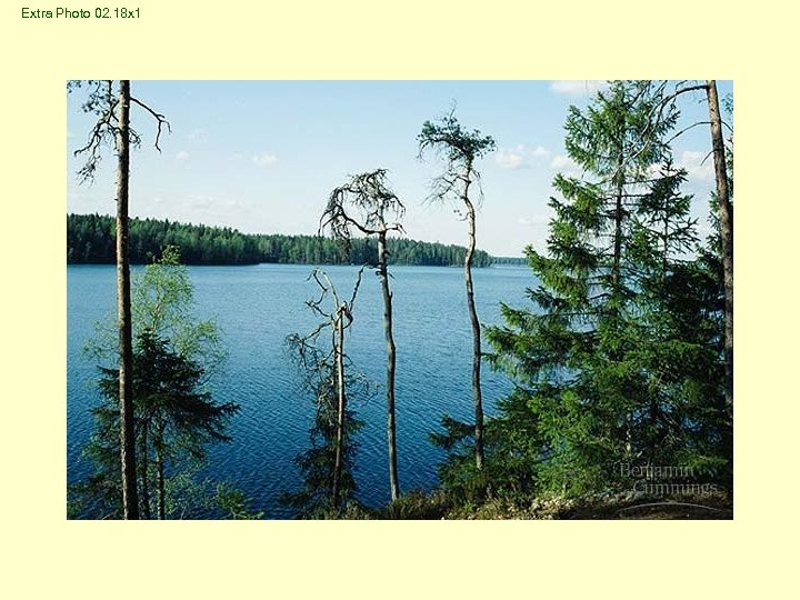 Extra Photo 02. 18 x 1 