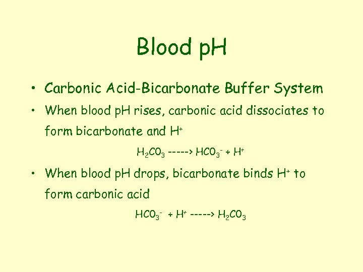 Blood p. H • Carbonic Acid-Bicarbonate Buffer System • When blood p. H rises,