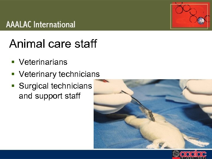 Animal care staff § Veterinarians § Veterinary technicians § Surgical technicians and support staff
