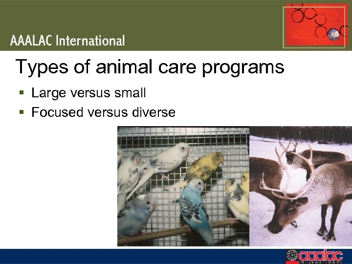 Types of animal care programs § Large versus small § Focused versus diverse 