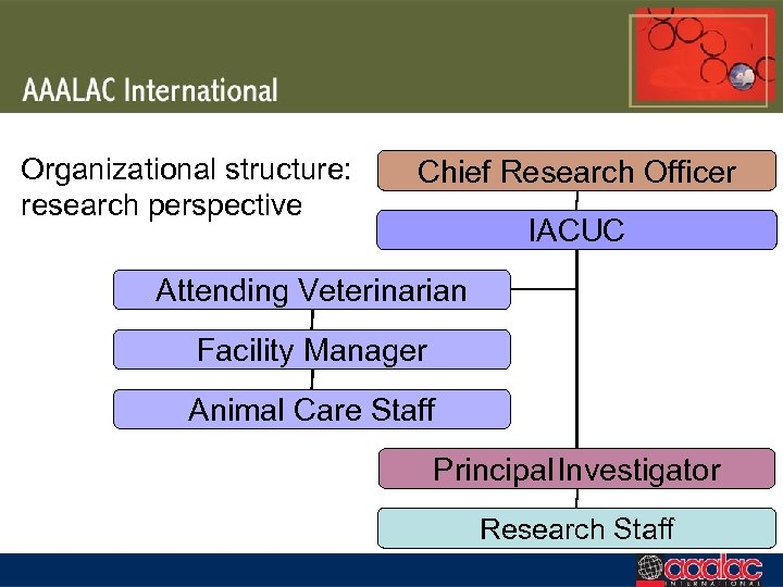 Organizational structure: research perspective Chief Research Officer IACUC Attending Veterinarian Facility Manager Animal Care