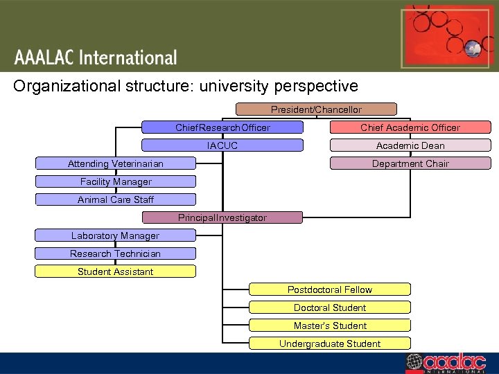 Organizational structure: university perspective President/Chancellor Chief Research Officer Chief Academic Officer IACUC Academic Dean