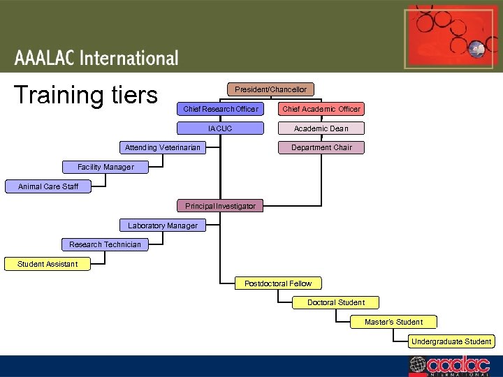 Training tiers President/Chancellor Chief Research Officer Chief Academic Officer IACUC Academic Dean Department Chair