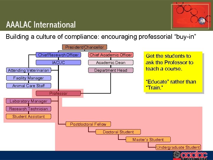 Building a culture of compliance: encouraging professorial “buy-in” President/Chancellor Chief Research Officer Chief Academic
