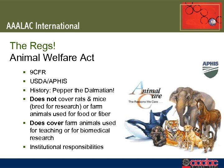 The Regs! Animal Welfare Act § § 9 CFR USDA/APHIS History: Pepper the Dalmatian!