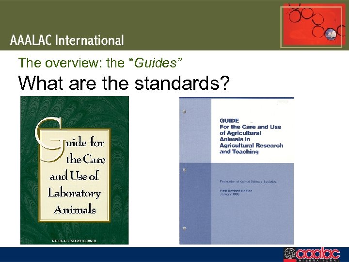 The overview: the “Guides” What are the standards? 