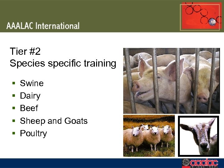 Tier #2 Species specific training § § § Swine Dairy Beef Sheep and Goats