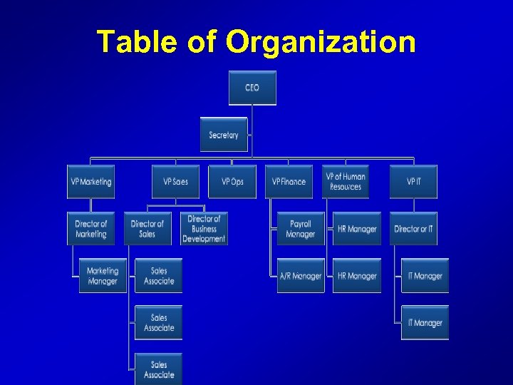 Table of Organization 