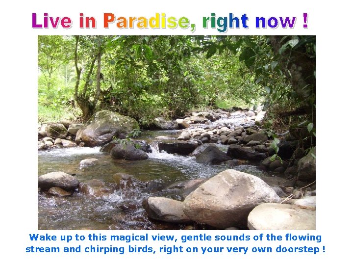 Wake up to this magical view, gentle sounds of the flowing stream and chirping