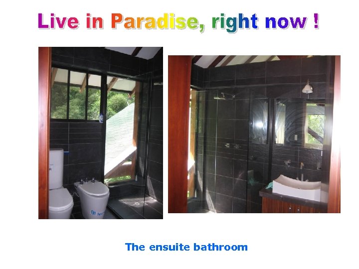 The ensuite bathroom 