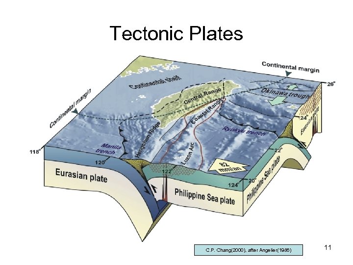 Tectonic Plates C. P. Chang(2000), after Angelier(1986) 11 