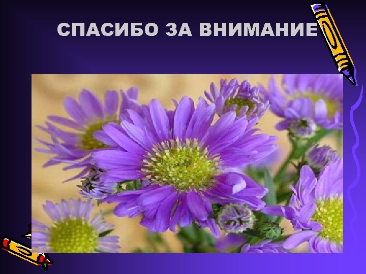 СПАСИБО ЗА ВНИМАНИЕ 