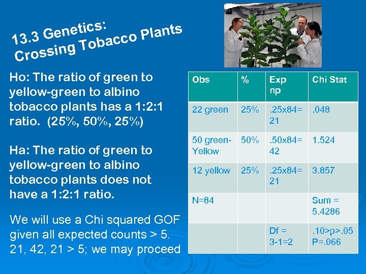 : netics co Plants 3. 3 Ge Tobac 1 g rossin C Ho: The