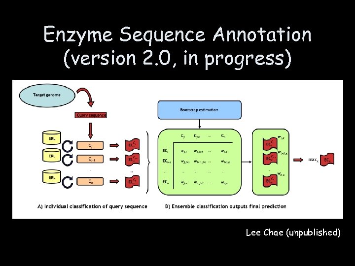 Enzyme Sequence Annotation (version 2. 0, in progress) Lee Chae (unpublished) 