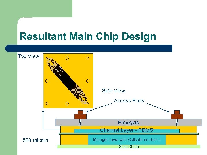 Resultant Main Chip Design Top View: Side View: Access Ports Plexiglas Channel Layer -
