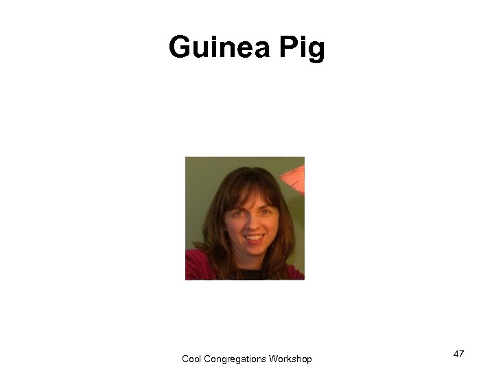 Guinea Pig Cool Congregations Workshop 47 
