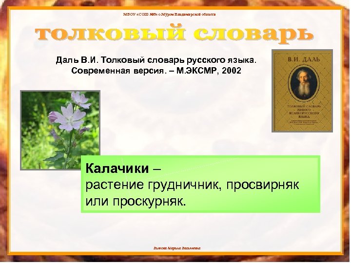 Портрет слова книга