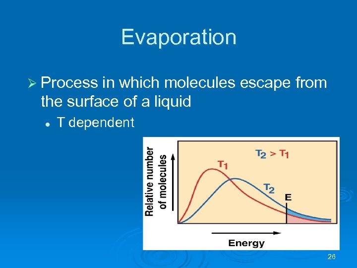 Evaporation Ø Process in which molecules escape from the surface of a liquid l