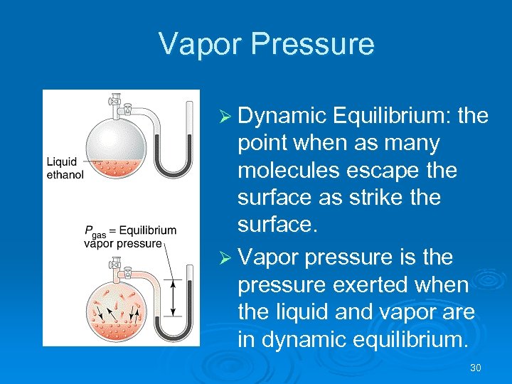 Vapor Pressure Ø Dynamic Equilibrium: the point when as many molecules escape the surface