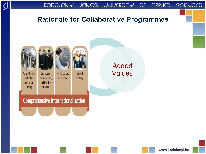 Rationale for Collaborative Programmes Added Values 