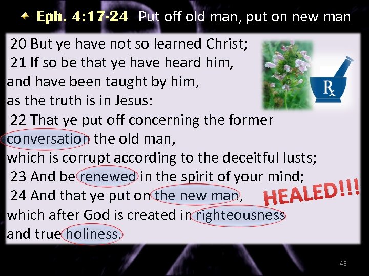 Eph. 4: 17 -24 Put off old man, put on new man 20 But