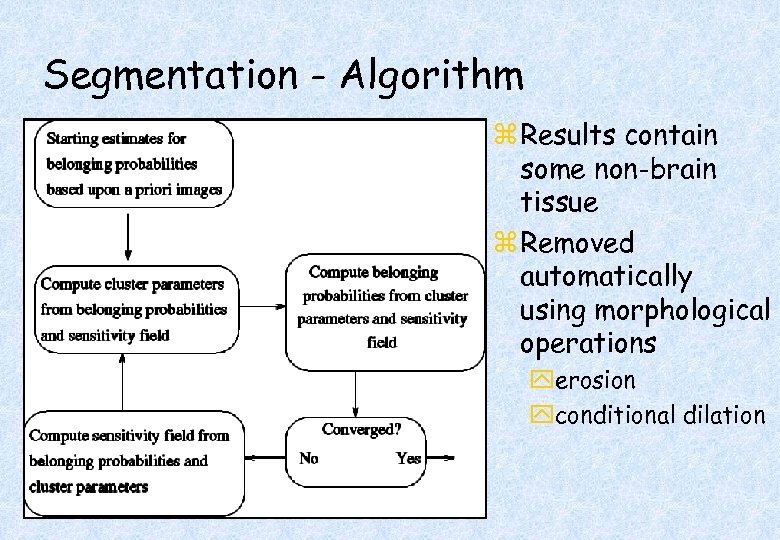 Segmentation - Algorithm z Results contain some non-brain tissue z Removed automatically using morphological