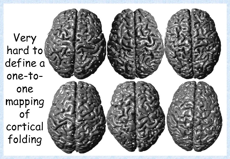 Very hard to define a one-toone mapping of cortical folding 