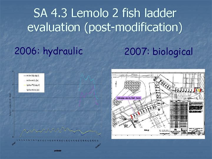 SA 4. 3 Lemolo 2 fish ladder evaluation (post-modification) 2006: hydraulic 2007: biological 