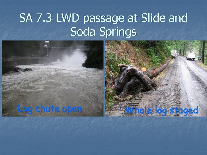 SA 7. 3 LWD passage at Slide and Soda Springs Log chute open Whole