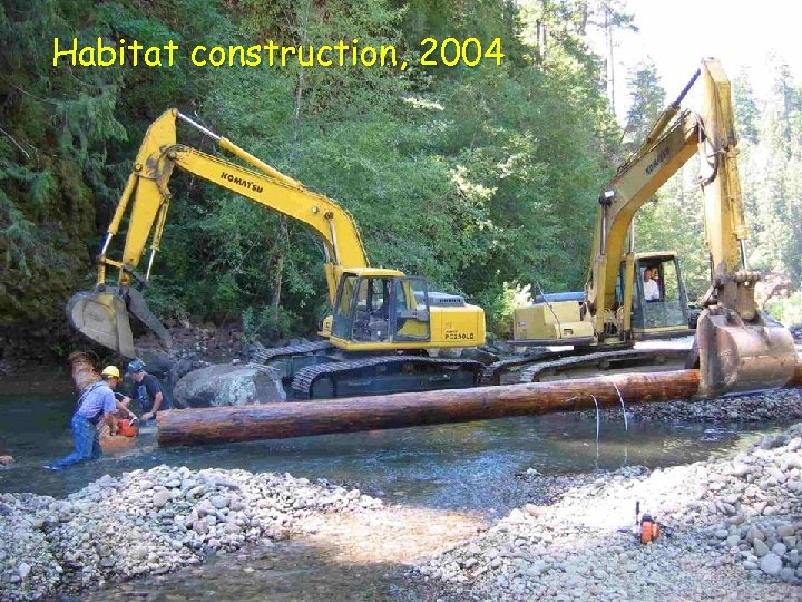 Habitat construction, 2004 