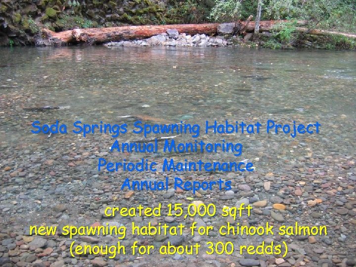 Soda Springs Spawning Habitat Project Annual Monitoring Periodic Maintenance Annual Reports created 15, 000