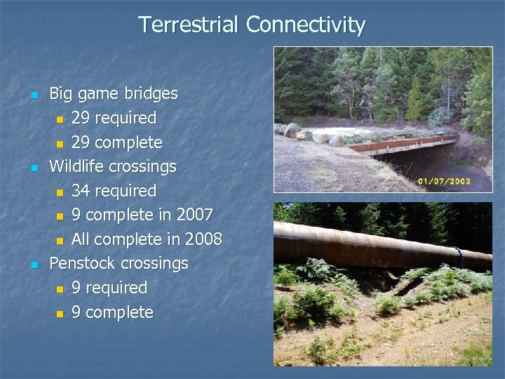 Terrestrial Connectivity n n n Big game bridges n 29 required n 29 complete