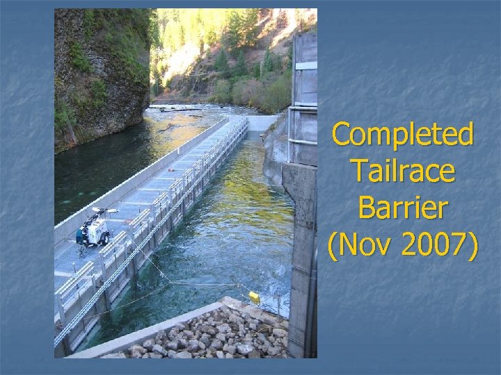 Completed Tailrace Barrier (Nov 2007) 