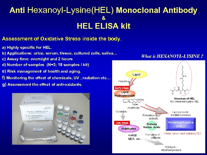 Anti Hexanoyl-Lysine(HEL) Monoclonal Antibody & HEL ELISA kit Assessment of Oxidative Stress inside the