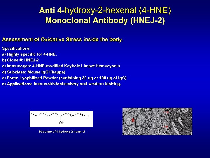 Anti 4 -hydroxy-2 -hexenal (4 -HNE) Monoclonal Antibody (HNEJ-2) Assessment of Oxidative Stress inside