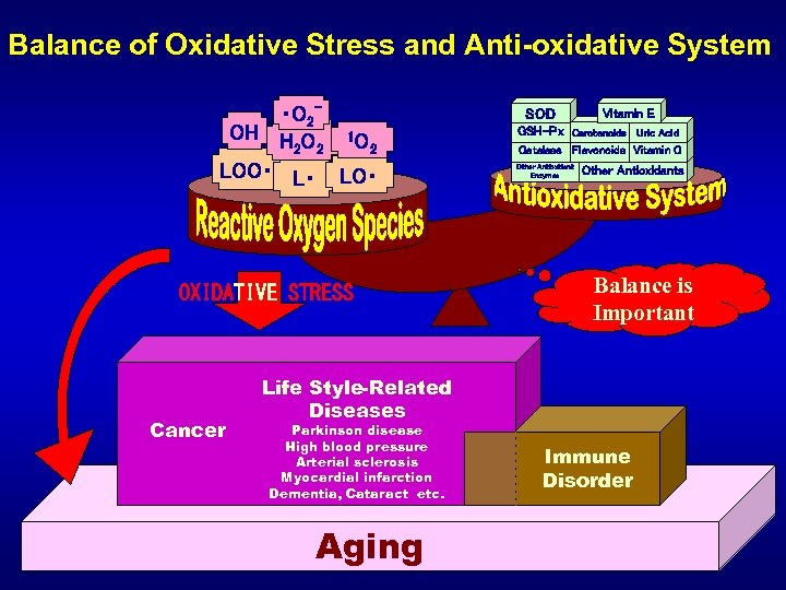 Balance of Oxidative Stress and Anti-oxidative System ・O 2 OH H O 1 O